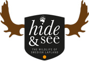 Hide & See Logotyp